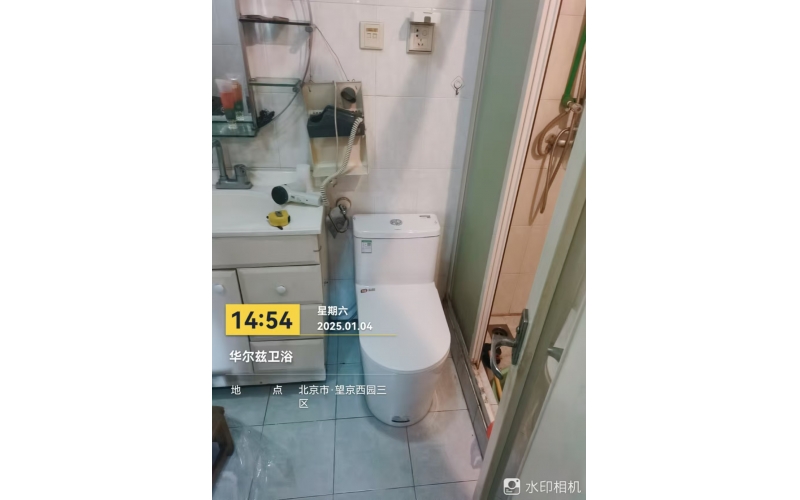 望京西园三区319楼